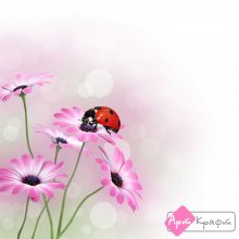 Cveti_628