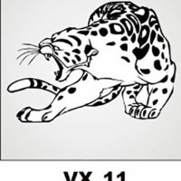 VX_11